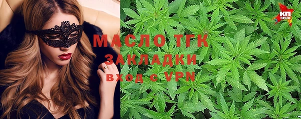 молекула духа Богданович