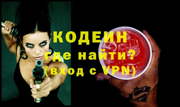 молекула духа Богданович