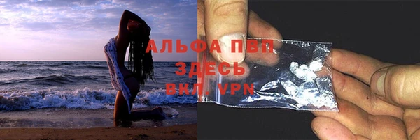 молекула духа Богданович