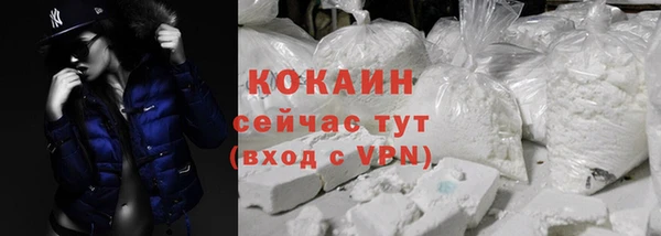 тгк Елизово