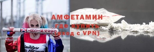 молекула духа Богданович