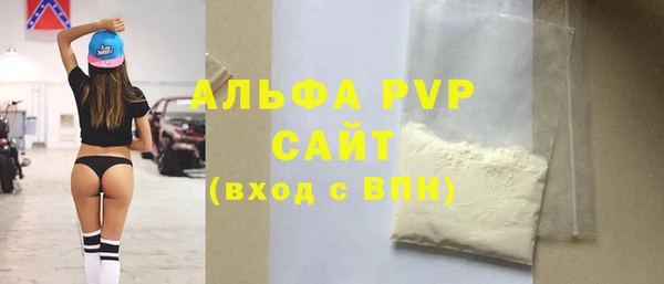 молекула духа Богданович