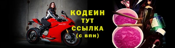 молекула духа Богданович
