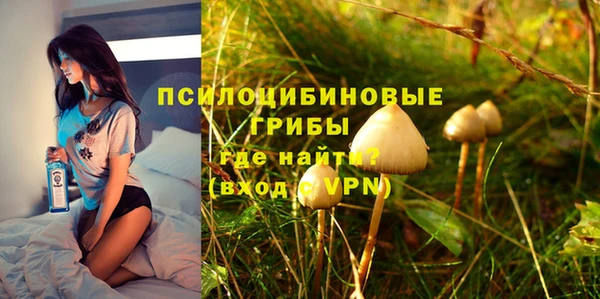 марки nbome Богородицк