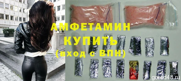 молекула духа Богданович