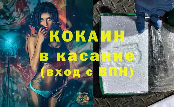 молекула духа Богданович
