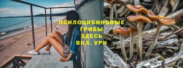 молекула духа Богданович