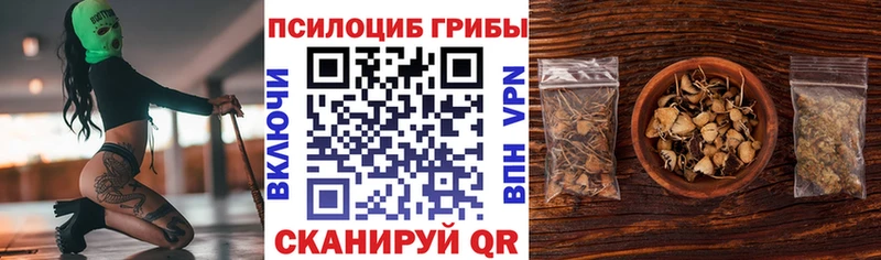 Псилоцибиновые грибы Magic Shrooms  Киселёвск 